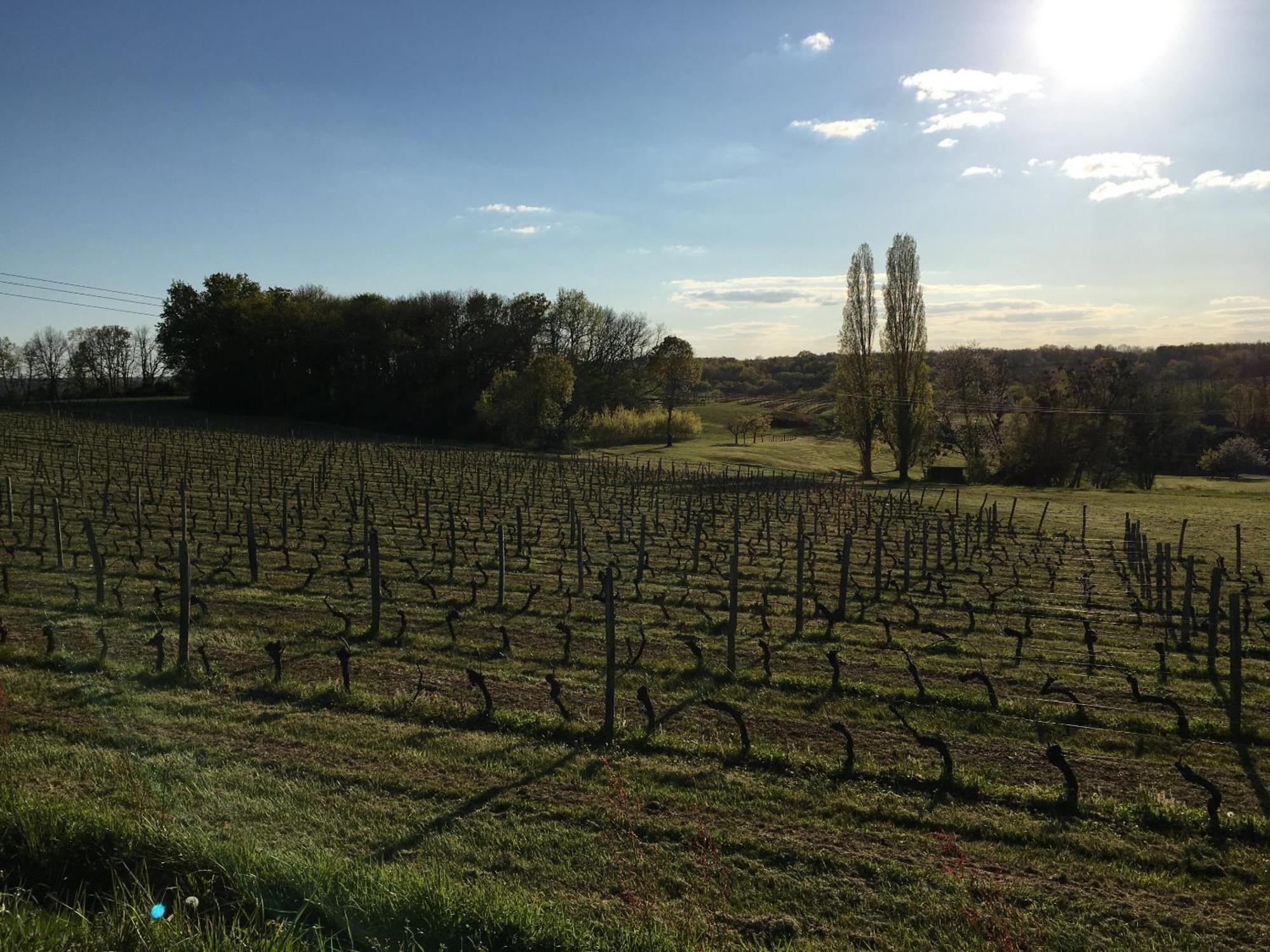 Chateau Masburel Fougueyrolles Екстериор снимка